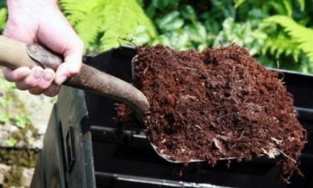 Global Soil Conditioners Industry Analysis and Revenue Forecast 2018-2023