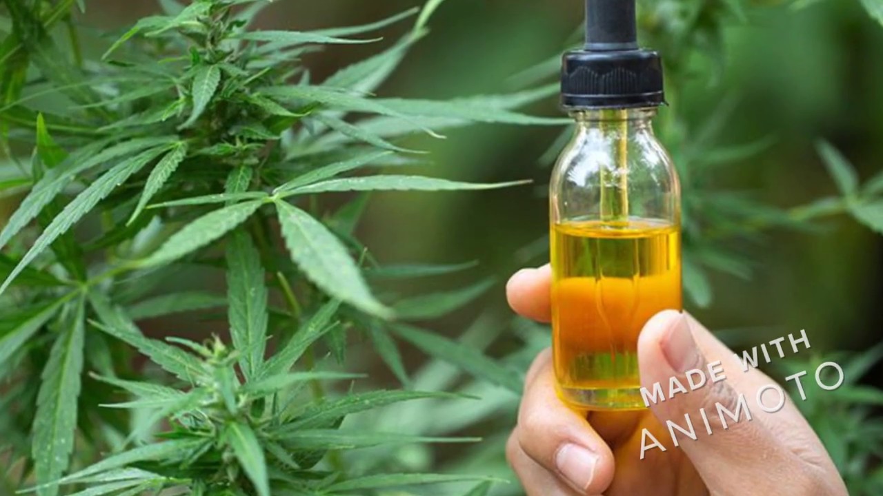 Peak Wellness CBD Canada-CA {Oil} Hemp & CBD Benefits, Relief From All Pain, Reduce Stress!