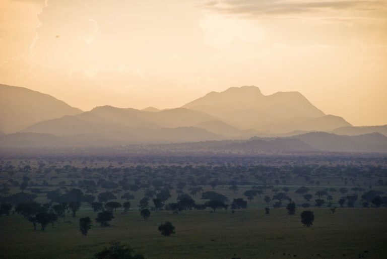 Discover Wildlife Adventurer Safari @ Bushmansafaris.com