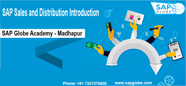 SAP Sales and Distribution Introduction | Why SAP SD?