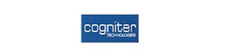 Hire PPC Experts at Cogniter and Get Quality Leads