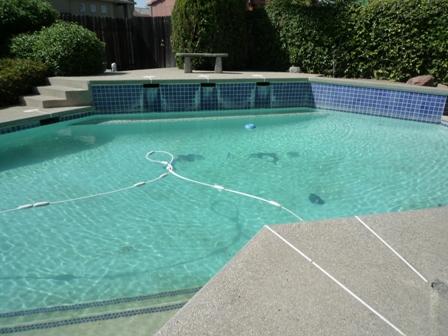 What is The ideal Kind of SWIMMING POOL FOR MY HOME?