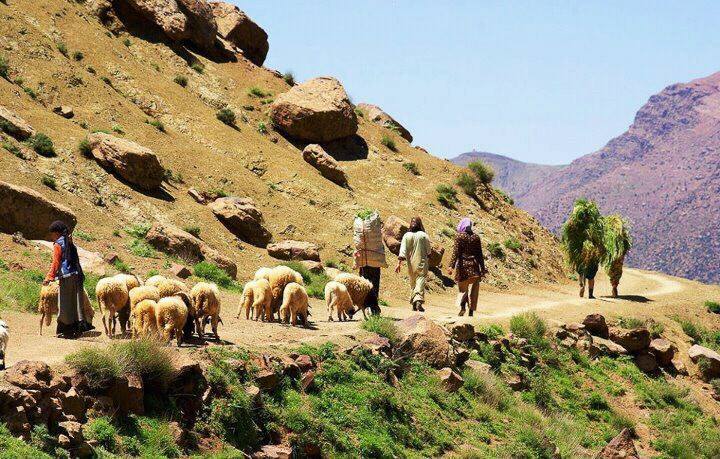 Join Luxury Morocco Tours for a Wonderful Holiday Experience