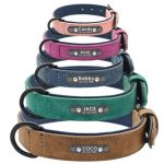 Personalized-Dog-Collars1
