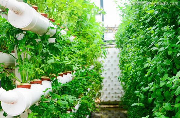 Hydroponics kit