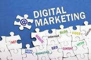 Digital Marketing is Best Career Option