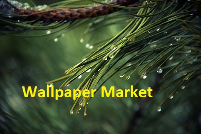 Wallpaper Market Report Gross Margin Analysis by Top Key Players, Size, Share and Risk Forecast to 2025