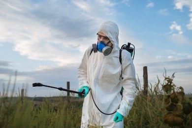 Receive Professional Pest Removal Service from Expert Team of Pestoz