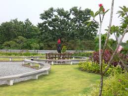 plant rentals
