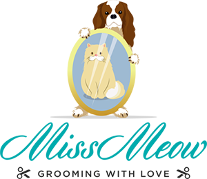 Miss Meow Grooming In Dubai Where Your Pet Is Made To Feel Valued
