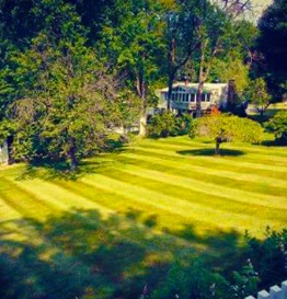 Lawn Mowing Service Near Me and Snow Removal Service in NYC