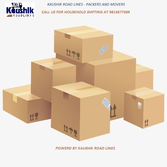 Professional Packers And Movers Company in Delhi