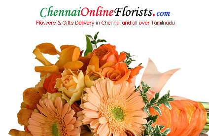 Avail Low Cost Gifts for each Occasion from our Website with Free Shipping