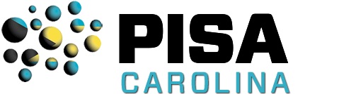 Pisa Carolina – Why Aragonite Called as the Premium Pure Form of Calcium Carbonate?