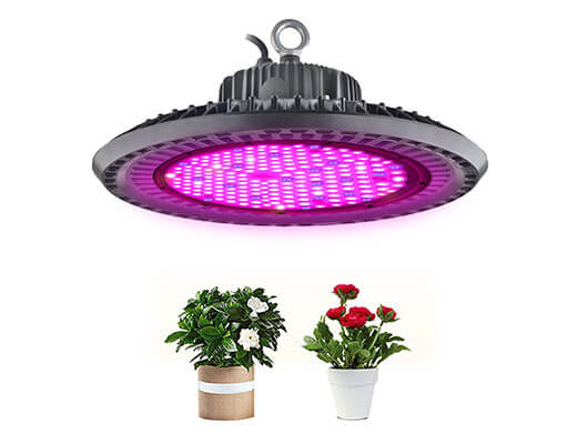 LED Grow Lights