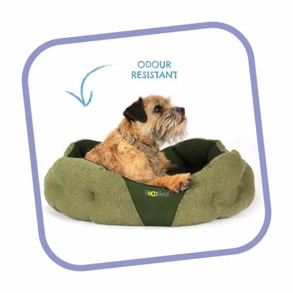 Paws Plus One are offering quality large and Waterproof Dog Bed at cheaper rates