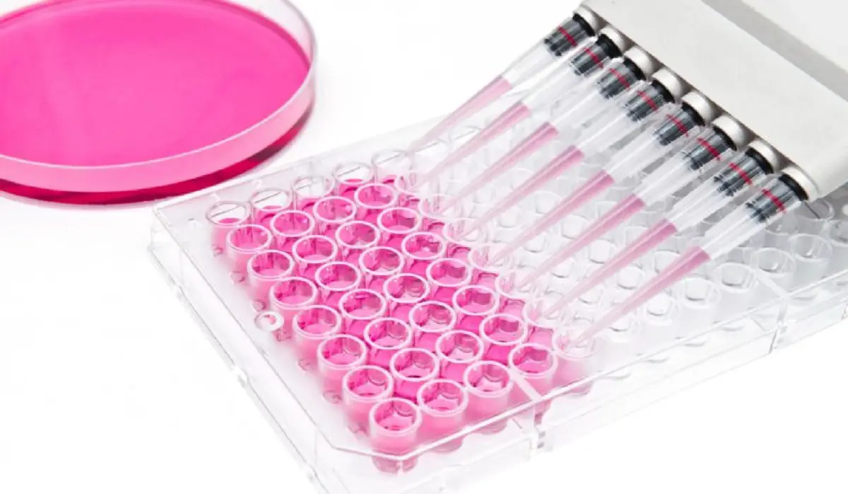 COVID 19 Impact on IVD (In Vitro Diagnostics) Market: Global Industry Analysis, Trends, Market Size, and Forecasts