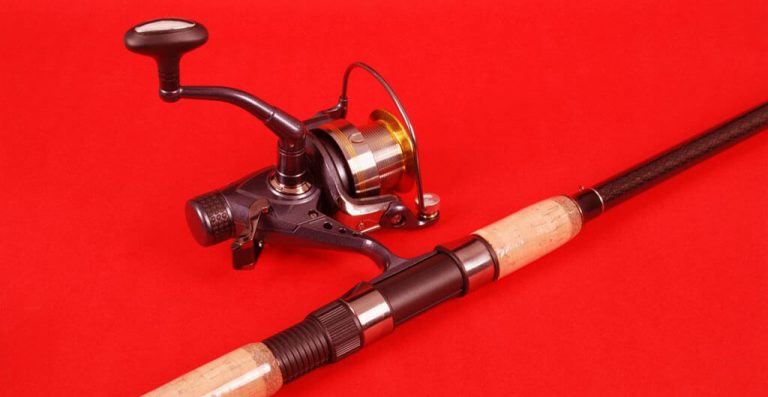 Best Kastking Baitcasting Reel Are Here To Help You Out