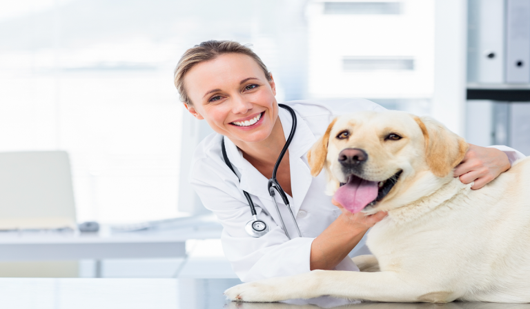 Companion Animal Diagnostics Market: Growing Demand for Rapid Tests and Portable Instruments for PoC Diagnostic Services
