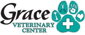 Leading Veterinary center in Estero