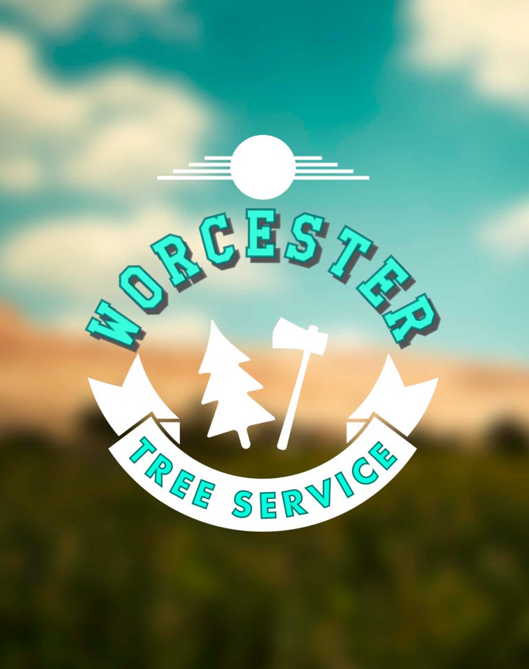 3 Causes Why You need a Tree Service