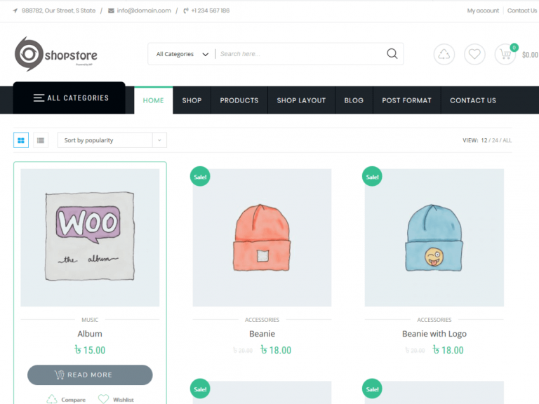 WordPress Retailer Theme Review – Construct an E-Commerce Website With WP