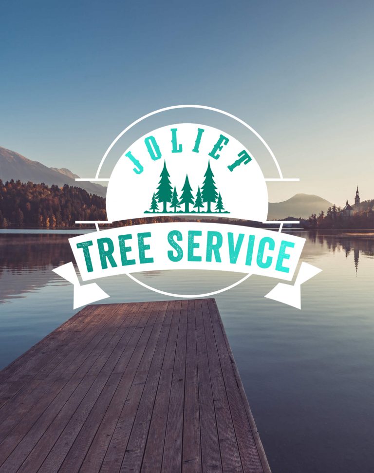 Tree Services – Helping You Together with your Trees