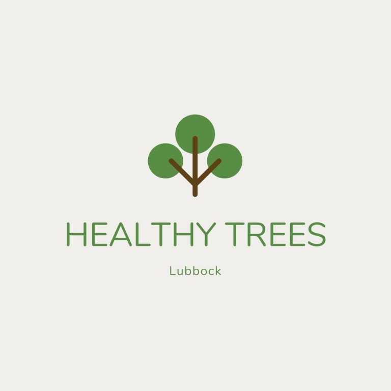 Selecting a Tree Service Qualified
