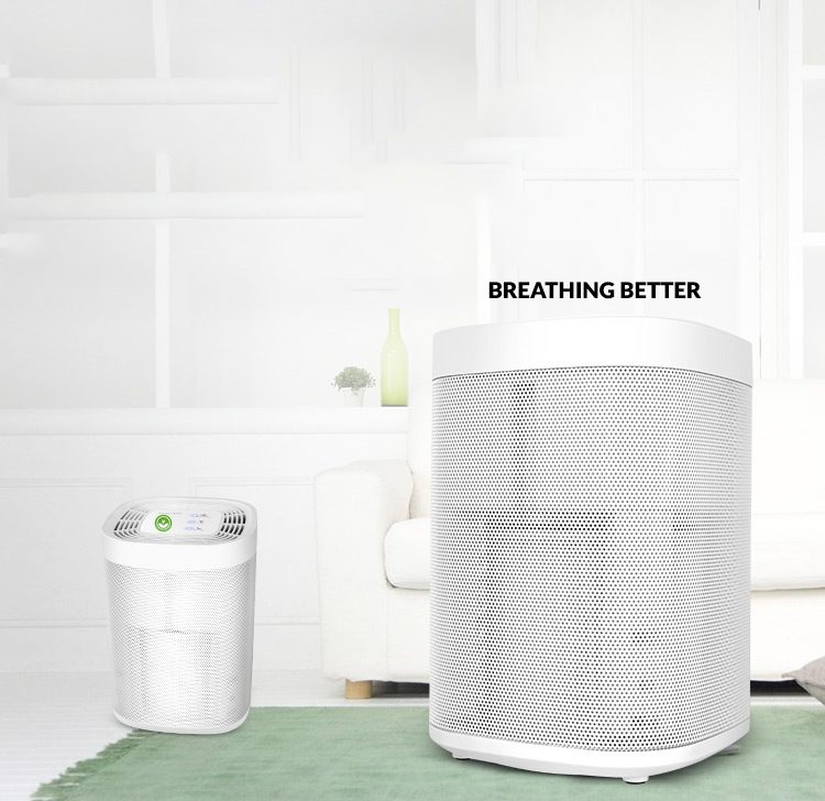 Air Purifier NZ