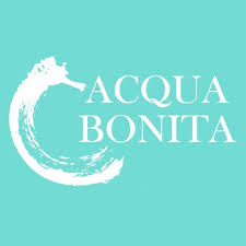 Discover Vacation Dresses for Womens Online at Acqua Bonita