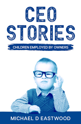 CEO Stories is Now Available for Purchase on Amazon