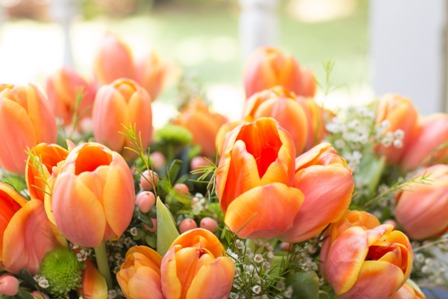 The best way to Obtain the appropriate Wedding Videographer