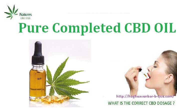 http://hogheavenbar-b-que.com/pure-completed-cbd/