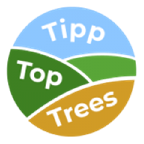 Tree Services – Assisting You With your Trees