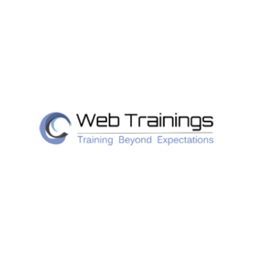 Certified Digital Marketing Professional Programe