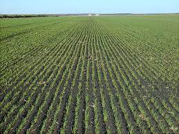 Agritourism Market Size, Share, Trends, Growth and Forecast to 2027