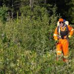 INDUSTRIAL-VEGETATION.jpg