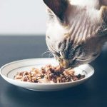 PET-FOOD-NEUTRACITICALS.jpeg