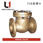 aluminium-bronze-check-valve.jpg