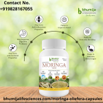 moringa_oleifera_capsules.png