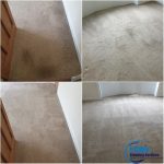 Carpet-Cleaning.jpg