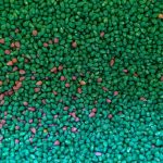 Gmo-seed.jpg