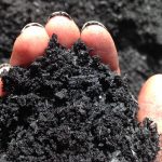 biochar.jpg