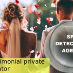 matrimonial-Detectives-in-Delhi.jpg