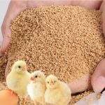 poultry-feed-premix.jpg