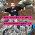 where-can-i-buy-marijuanabuy-weed-online-.jpg