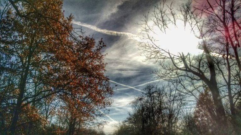 Meteo: oscillazioni termiche e un finale di novembre sorprendente?