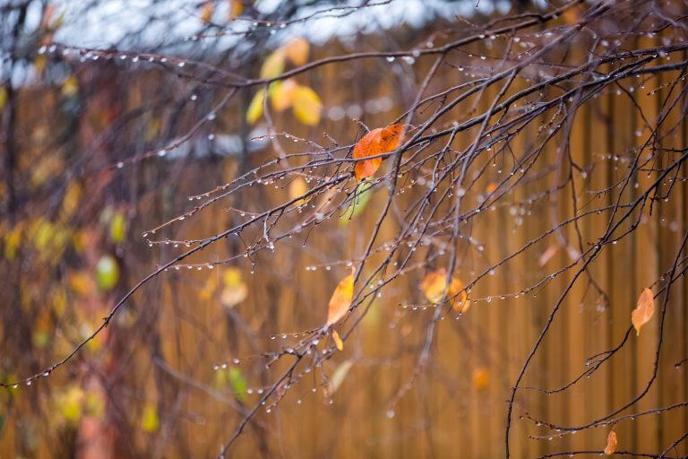 meteo:-fine-novembre-straordinaria,-l’inverno-arriva-in-anticipo