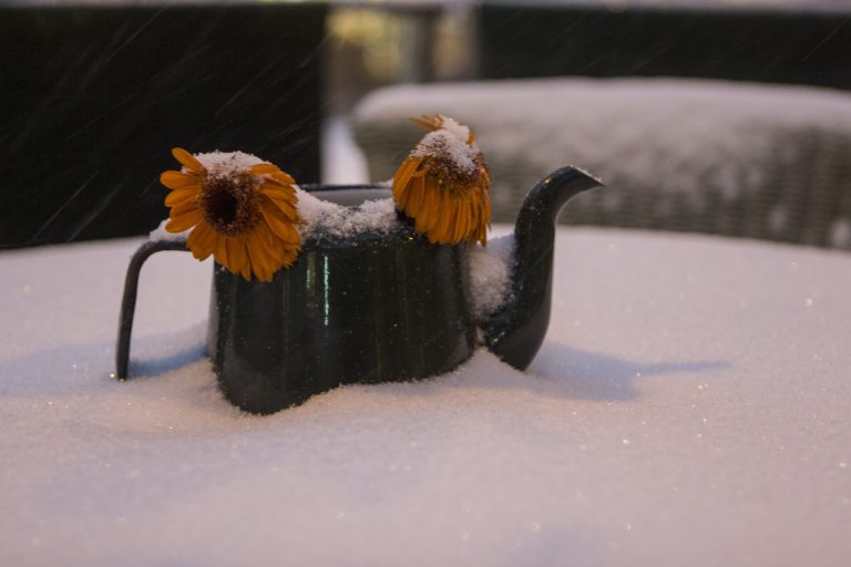 Meteo, giovedì freddo: temperature in calo e arrivo della neve