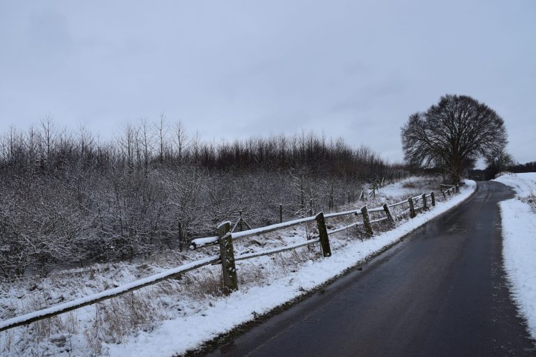 meteo-europa:-freddo-e-neve-a-dicembre,-coinvolta-anche-l’italia